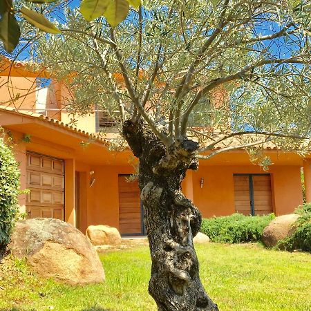 Villa Santa Giulia, Vue Panoramique Sur La Mer, 900 M De La Plage Πόρτο Βέκιο Εξωτερικό φωτογραφία