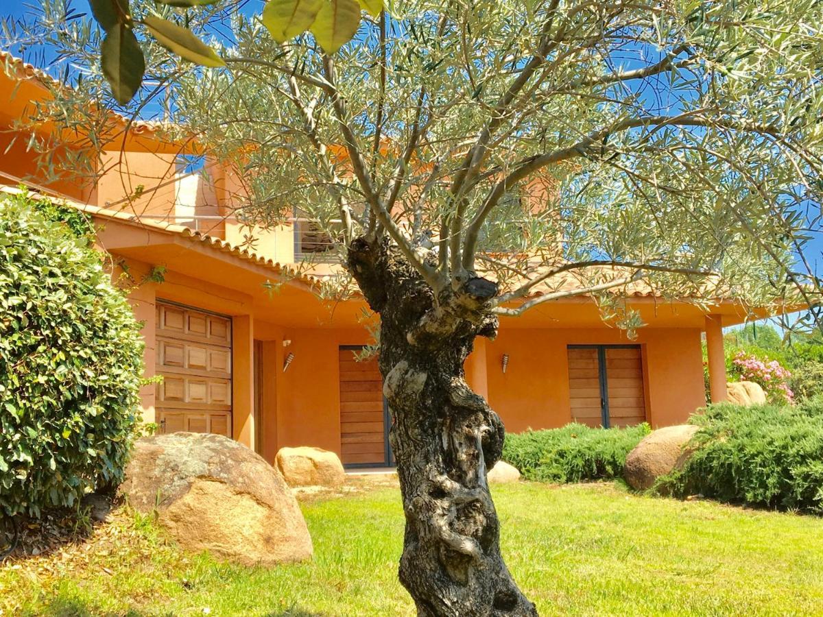 Villa Santa Giulia, Vue Panoramique Sur La Mer, 900 M De La Plage Πόρτο Βέκιο Εξωτερικό φωτογραφία